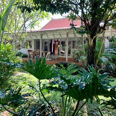 Quiet 3 Br-3 Bathroom Villa In Heart Of Canggu Exteriér fotografie