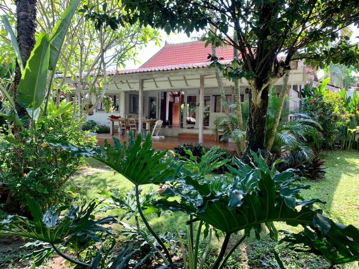 Quiet 3 Br-3 Bathroom Villa In Heart Of Canggu Exteriér fotografie